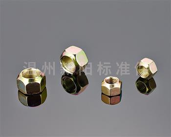 -非標(biāo)螺母 -彩鋅 六角鎖緊螺母