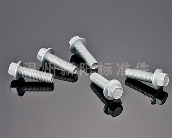 -Q184 -Q185 -GB16674 -外六角法蘭螺栓 -8.8級(jí) -銀色達(dá)克羅的產(chǎn)品展示: